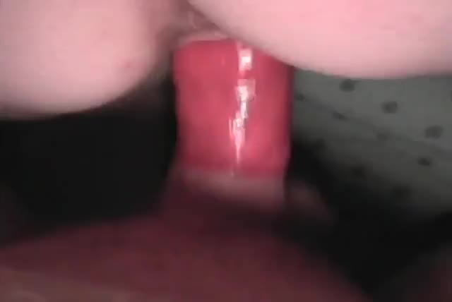 Pic #1a little from behind