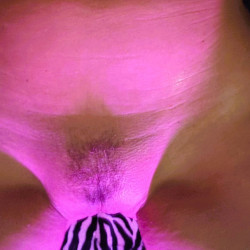 purple