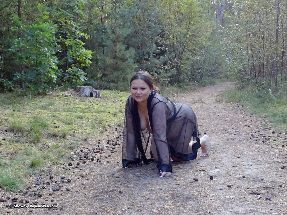 Pic #1 Forest Road Part 2