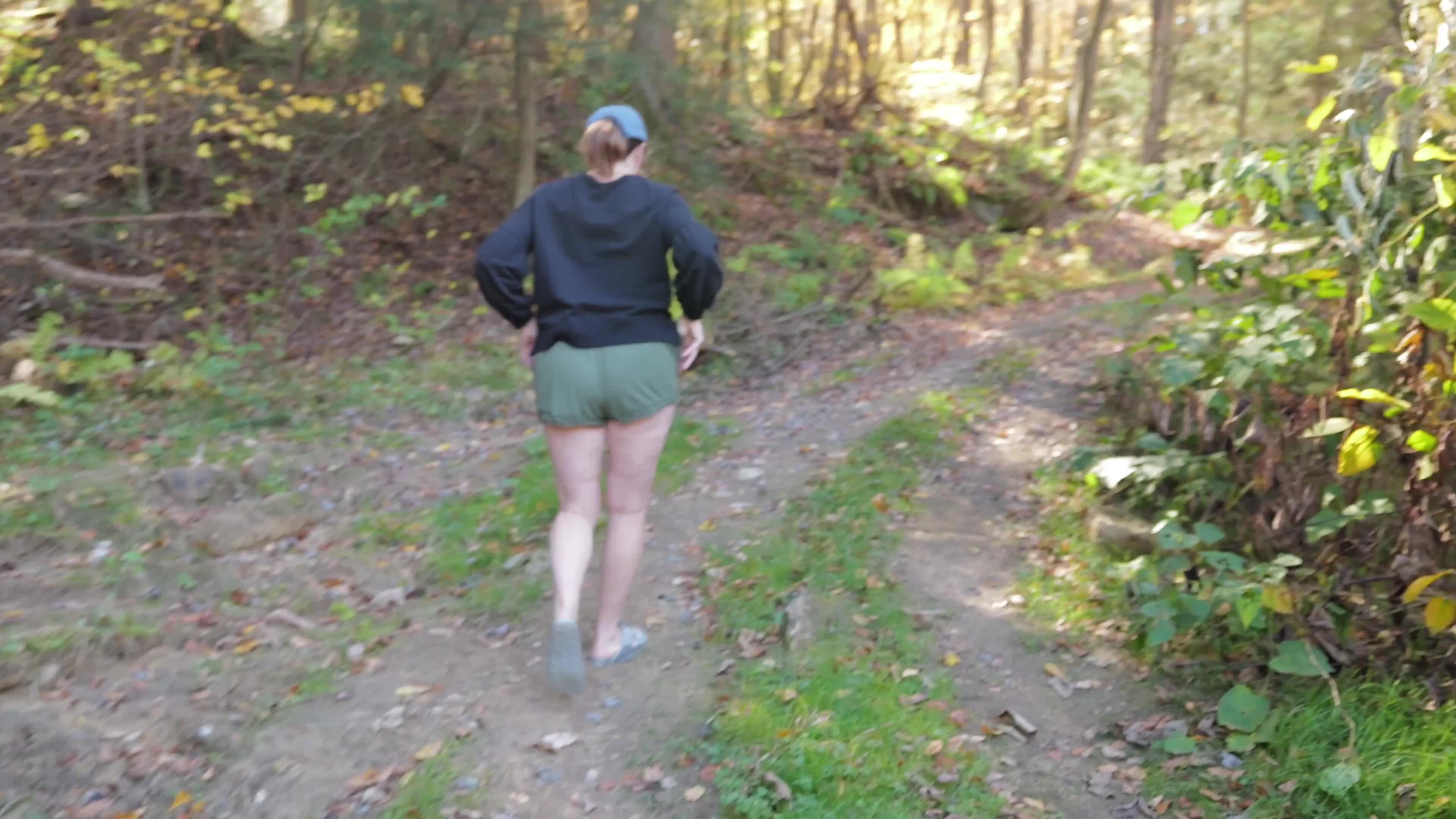 Pic #1Java goes for a walk in the woods