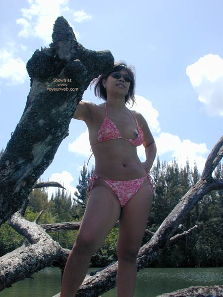 Pic #1Out On A Limb
