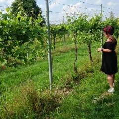 Exhibitionism in a vineyard