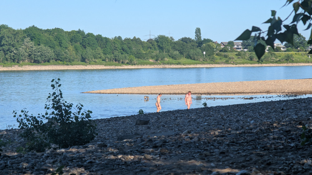 Pic #1one day at the rhine