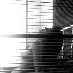 Medium tits of my wife - daffney