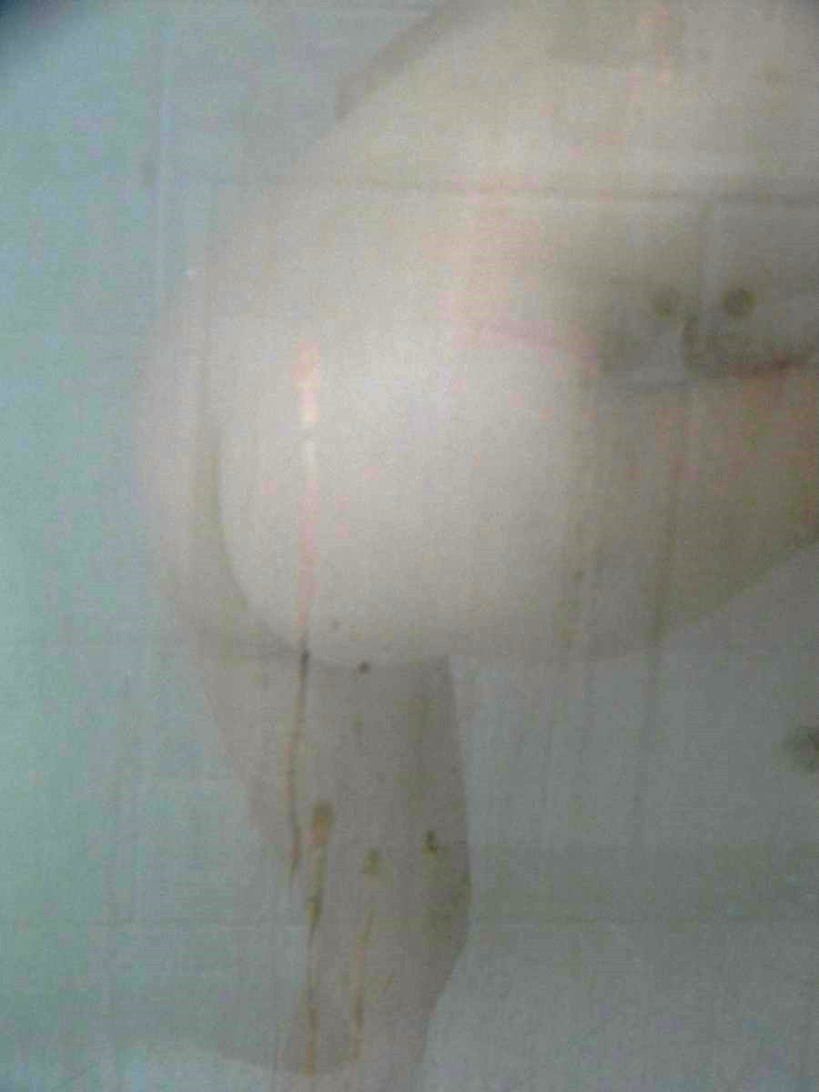 Pic #1Shower