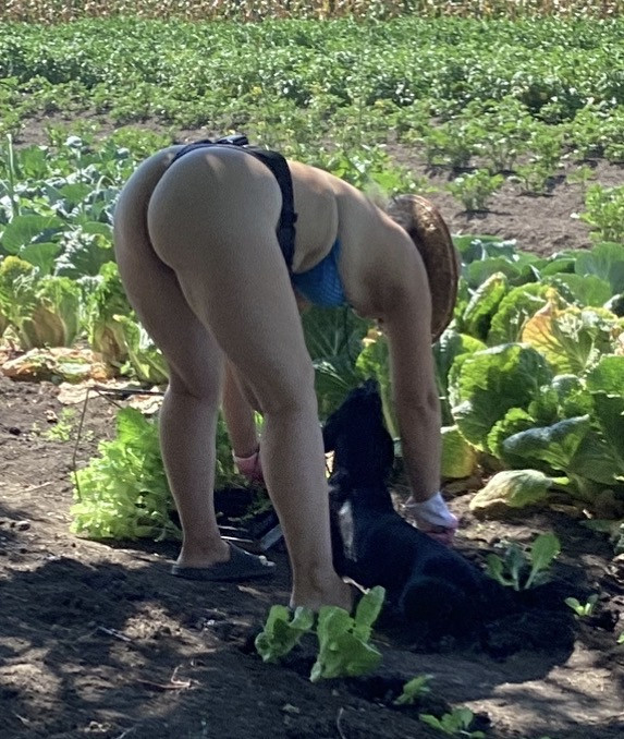 Pic #1 Garden works