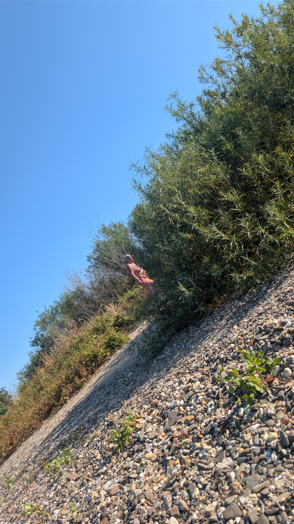 Pic #1what I saw at the Beach of the Rhine