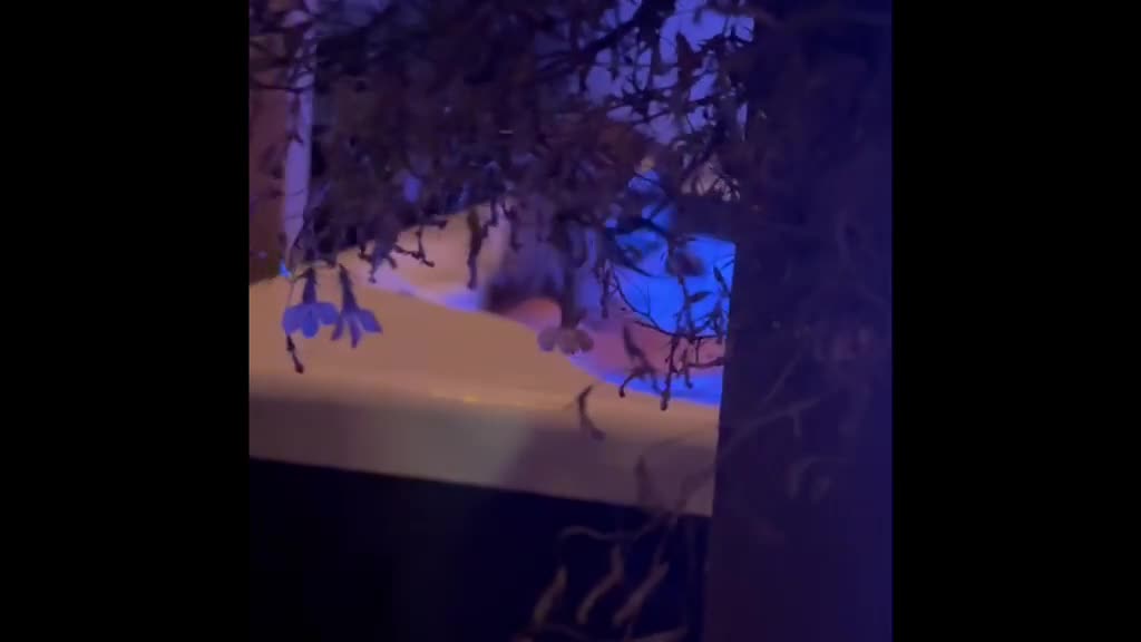 Pic #1Hot Tub Solo fun