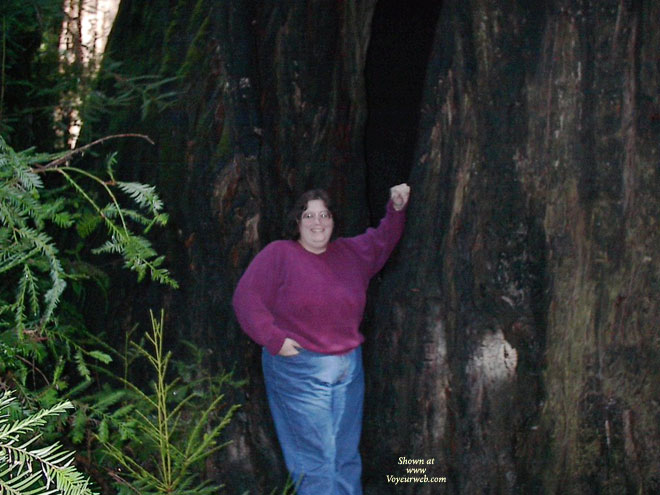 Pic #1Redwoods