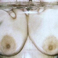 Medium tits of my wife - annmarie