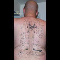 Pic #1A Night In The Lair