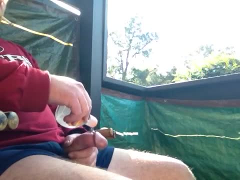 Pic #1M* Tribute to Tan Cindy and Redbunny