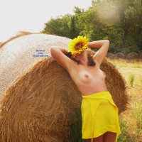 Pic #1 My Second Contribution - Outdoors