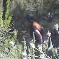 Pic #1 I Find Pissing In The Park