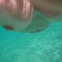 Pic #1Under Water
