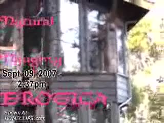 Pic #1Just Another Day In Paradise