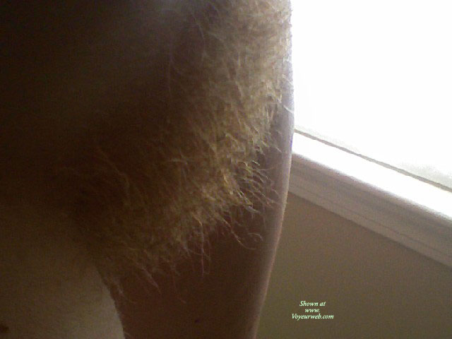 Pic #1 Bringing It Back