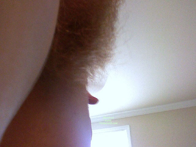 Pic #1 Bringing Back