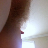 Pic #1 Bringing Back