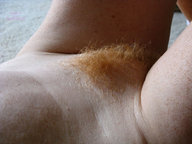 Pic #1Fire Bush Lynn Bonus Shots