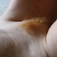 Pic #1 Fire Bush Lynn Bonus Shots