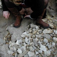 Pic #1Couple From Dalmatia