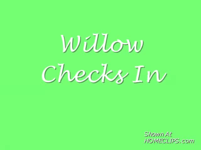 Pic #1Willow Checks In