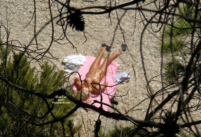 Pic #1 Beach Selection