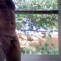 Pic #1M* Ladies Only Please