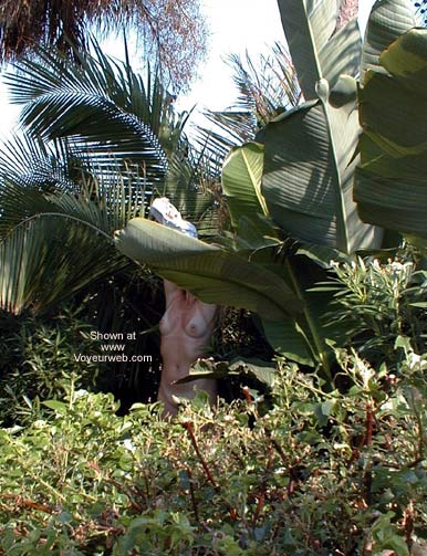 Pic #1a day in the tropics