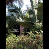 a day in the tropics