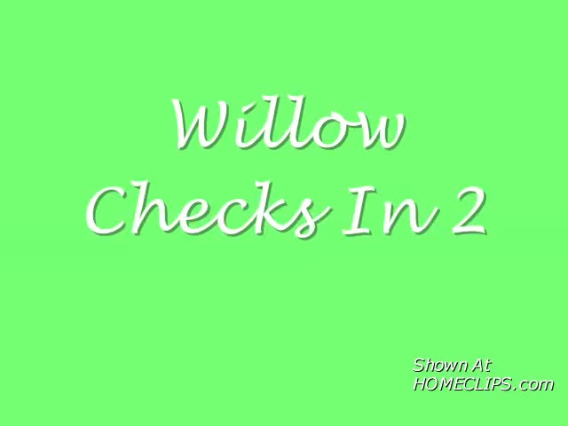 Pic #1Willow Checking In 2