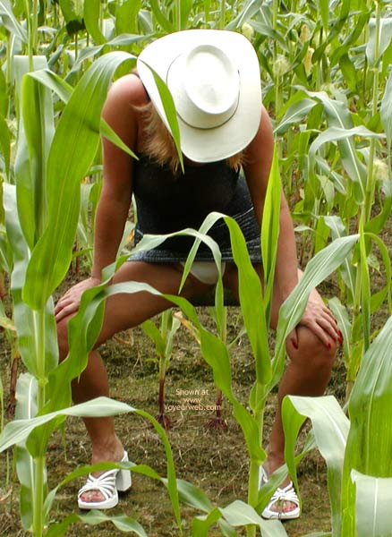 Pic #1Soo Hot N A Corn Field