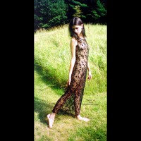 On Butterfly'S Wings