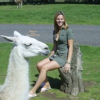 Pic #1Pussycat Safari