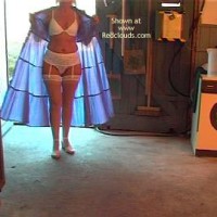 Pic #1Guernsey Tarts Working Day