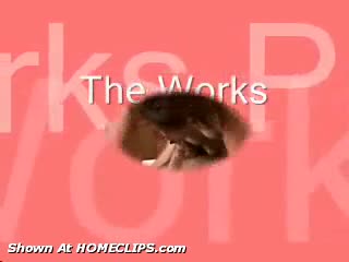 Pic #1The Works