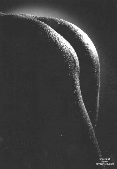 Closeup - Black And White, Close Up, Rear View, Wet , Closeup, Rear Shot, Wet Skin, Black And White, Black And White Ass In Shadow