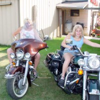 Pic #1Harley 100th