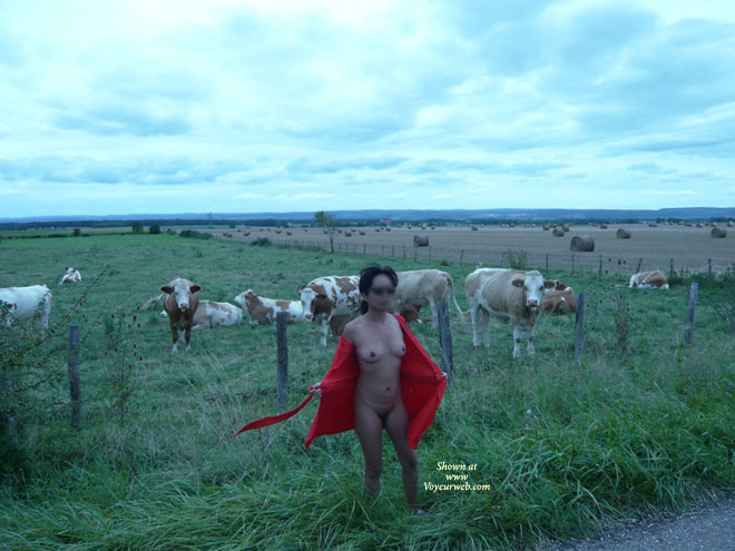 Pic #1Exhib In French Landscape