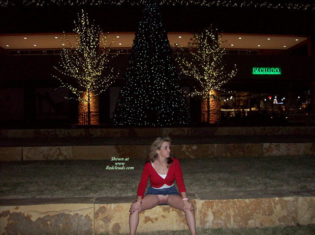 Pic #1Christmas Shopping - Part 1