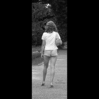 Pic #1 Fly Into Passion