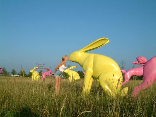 Pic #1Fairytales Makes New Friends