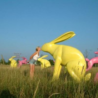 Pic #1Fairytales Makes New Friends