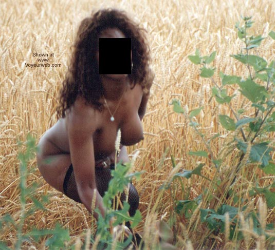 Pic #1Flashphoto in The Field