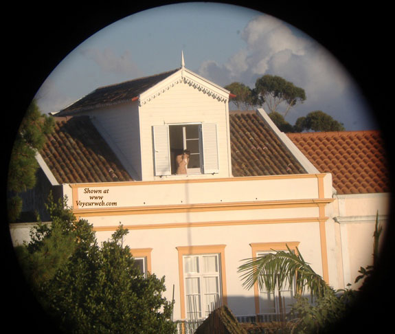 Pic #1Brazilian At Window