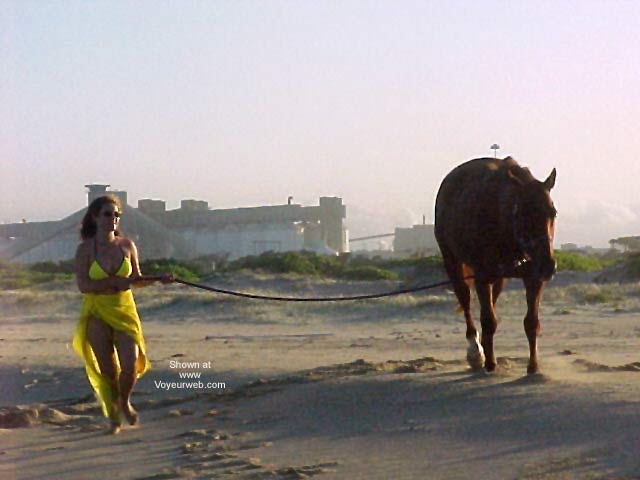 Pic #1A Day at The Beach