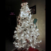 Pic #1Silver Christmas