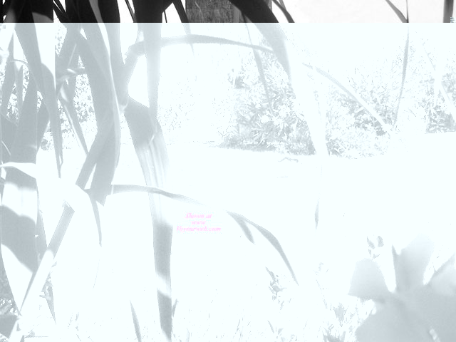 Pic #1 V By The Pool