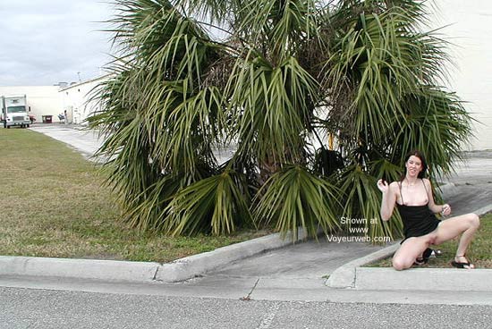 Pic #1Daring Adventure